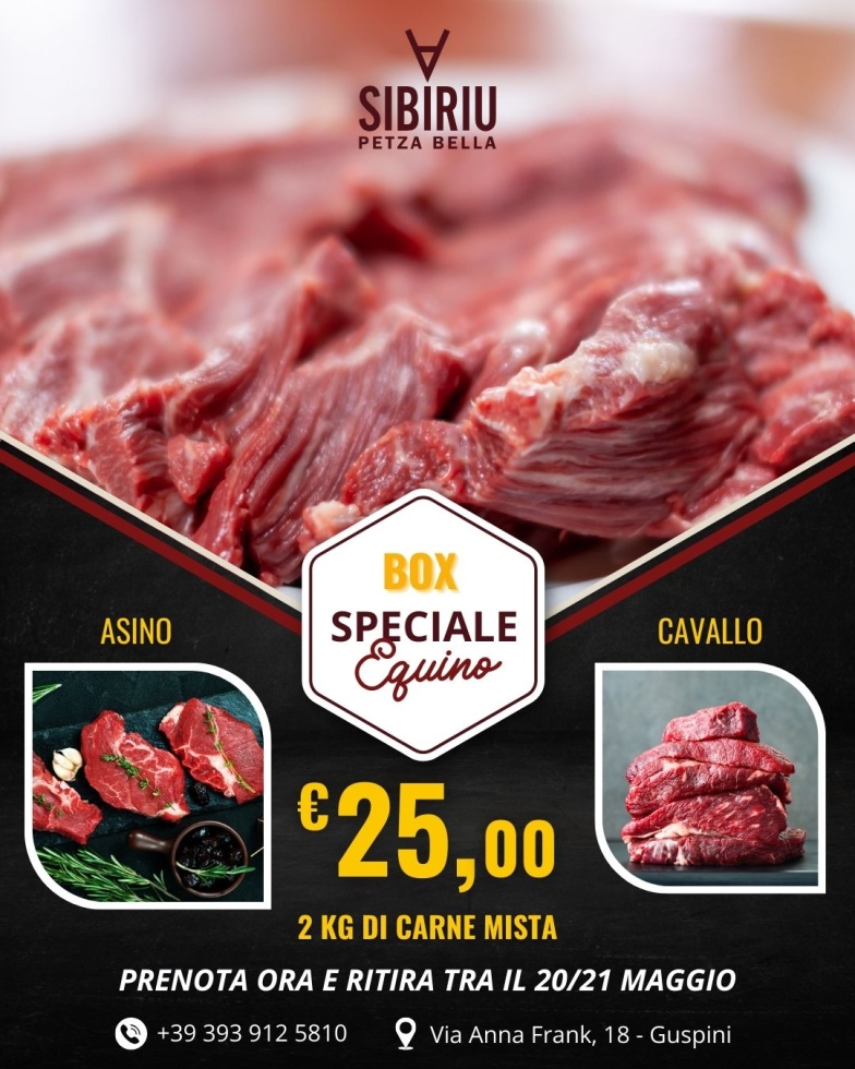 Box Equino.jpg